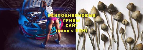 наркотики Алексин